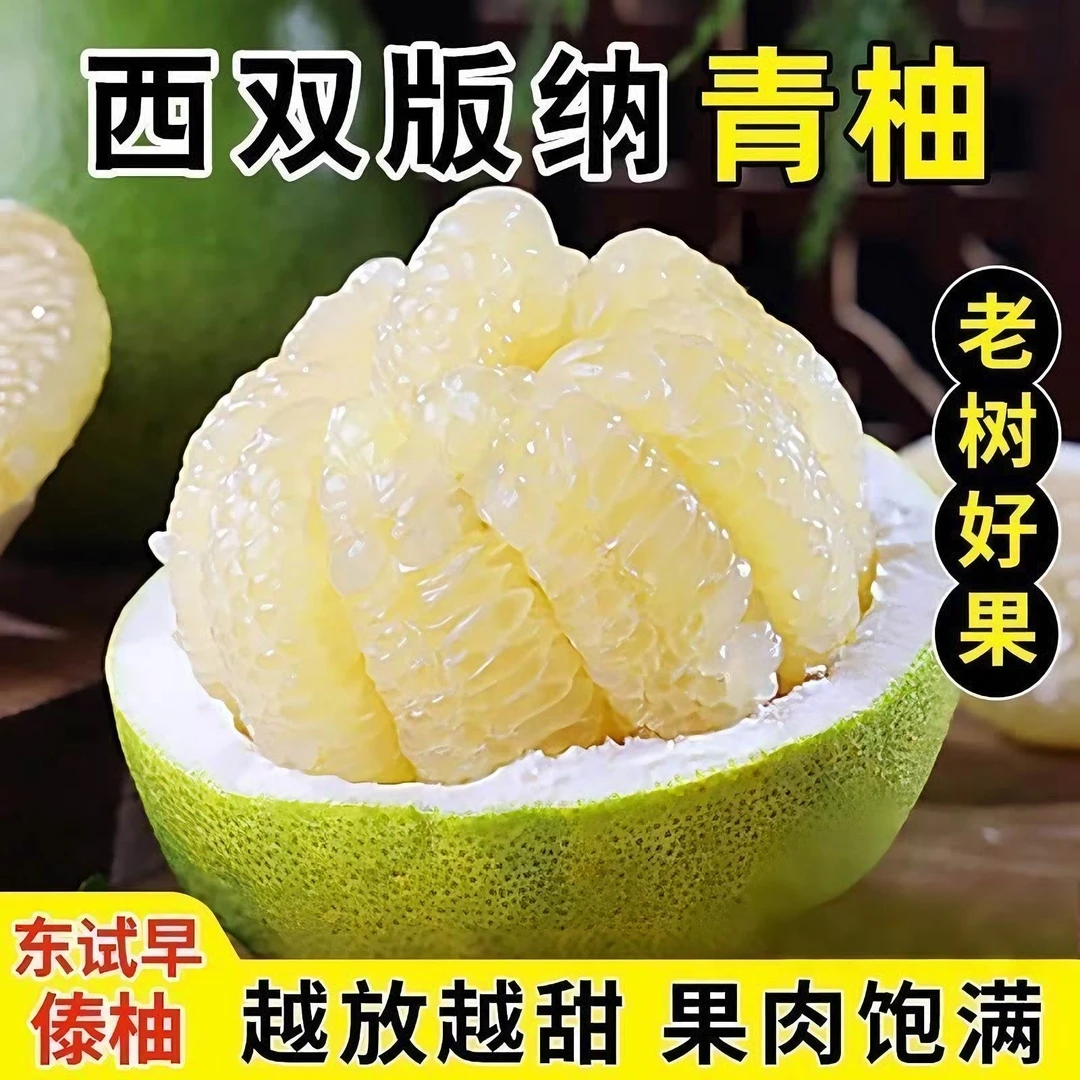 柚子傣柚云南西双版纳东试早清甜果肉嫩柚子味十足白心带箱5斤