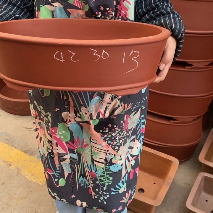 紫砂花盆只顾看手机和睡觉