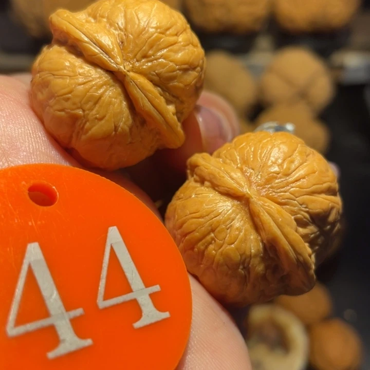 小星球核桃尺寸30