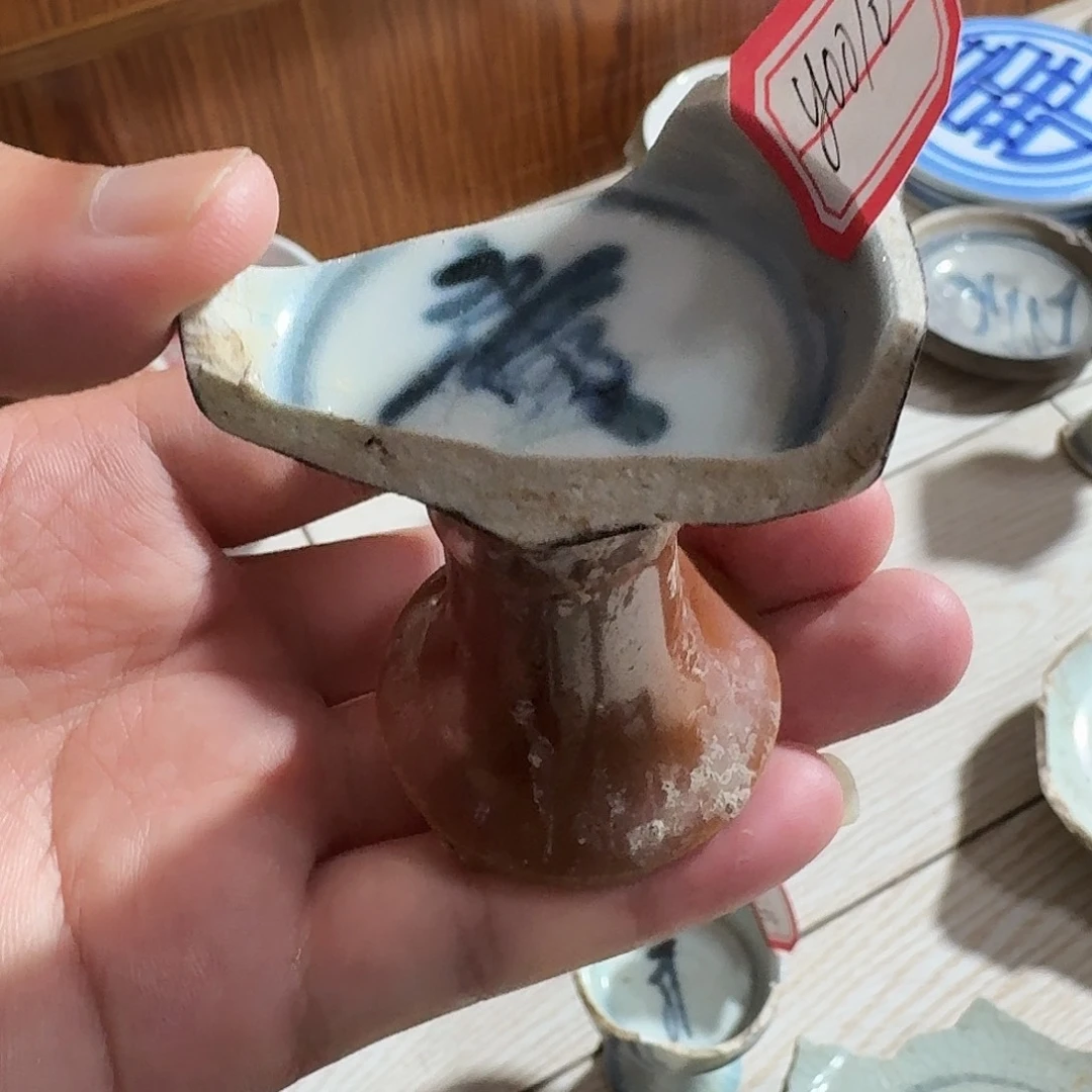 瓷片瓷片标本学习收藏0010