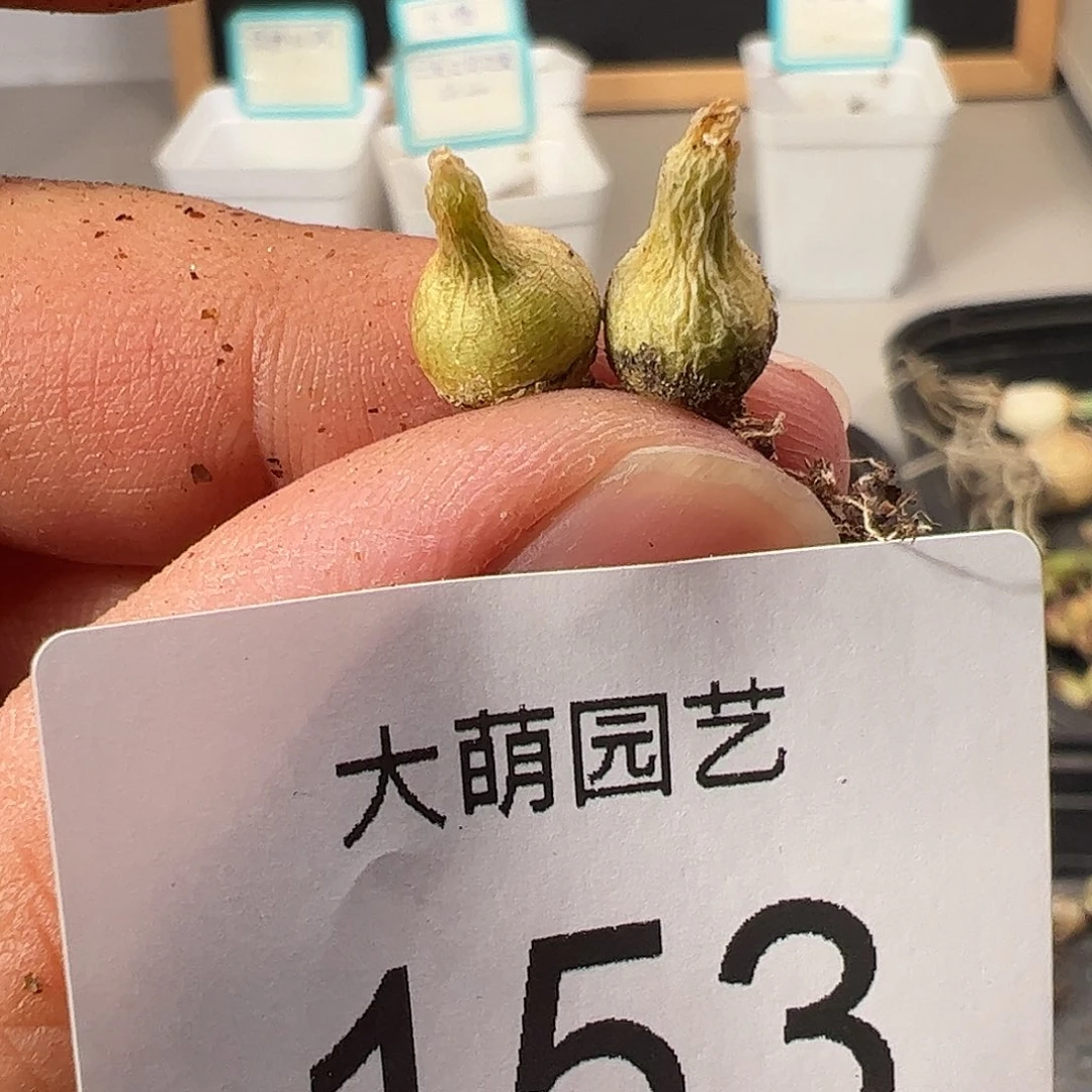 0000153 一物一拍……