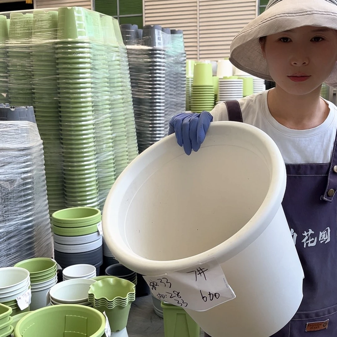 四季盆7#象牙白3个无托