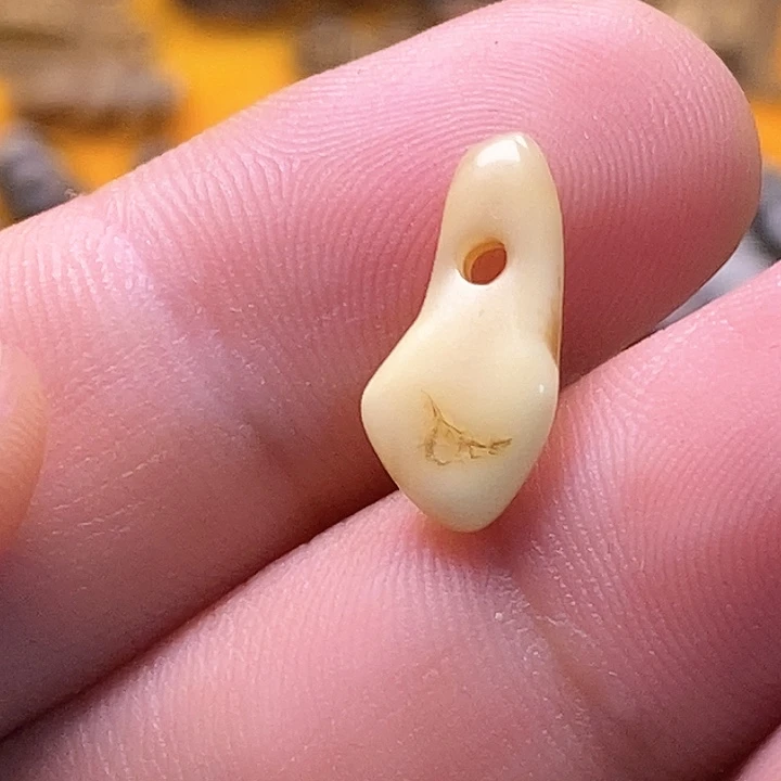鹿骨吊坠鹿牙卡子卡子卡子