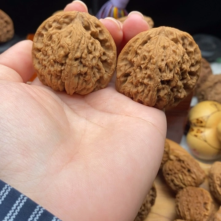 理***悟物美价廉物美价廉