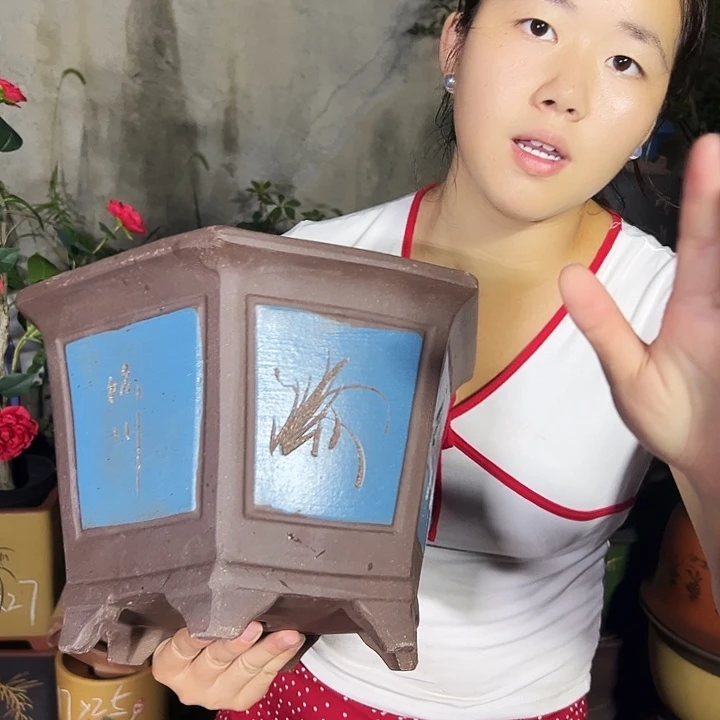 32蓝六方花盆花盆花盆