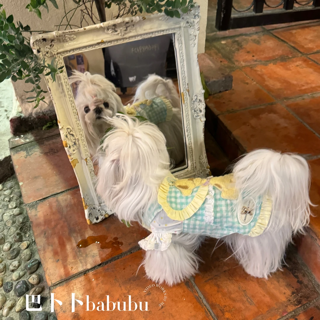 巴卜卜萌宠服饰宫囍家宠物衣服春夏两件套可爱舒适狗狗猫咪服装