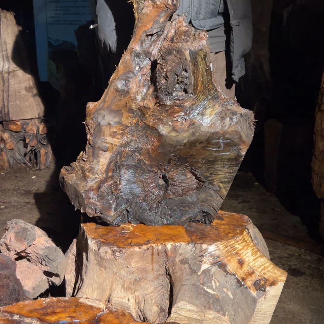 金丝楠楠***翔222222222222