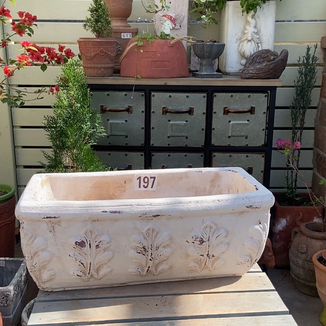 树叶长盆长37.5宽20高15.5