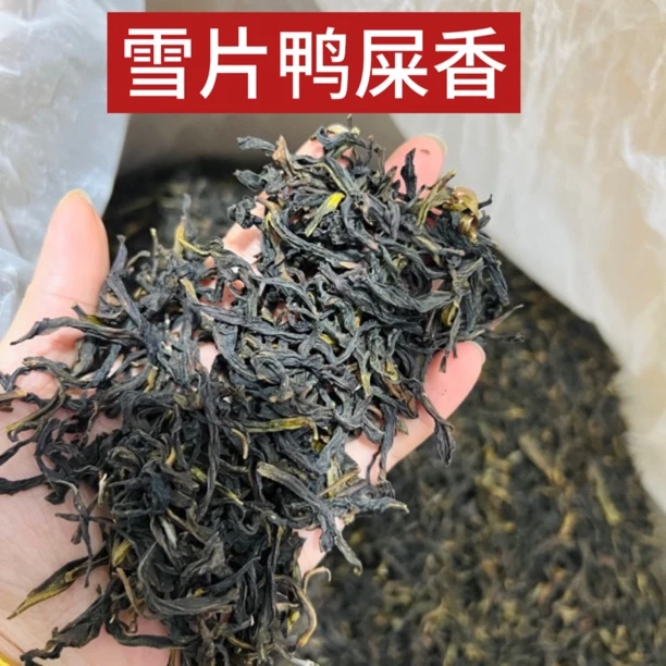 潮州凤凰单丛茶雪片鸭屎香茶中香水花香型500g（包装随机）