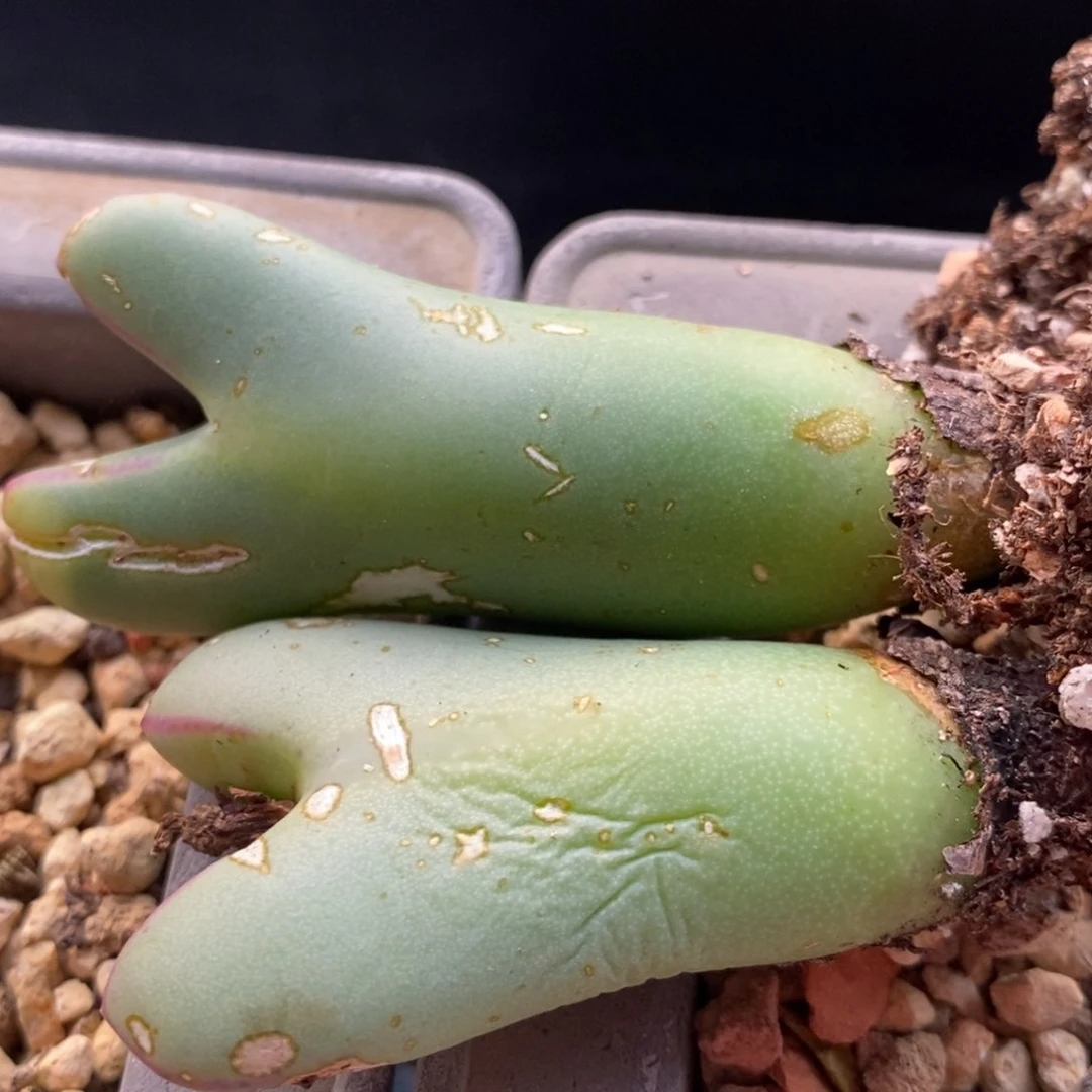 10112有伤一组一组