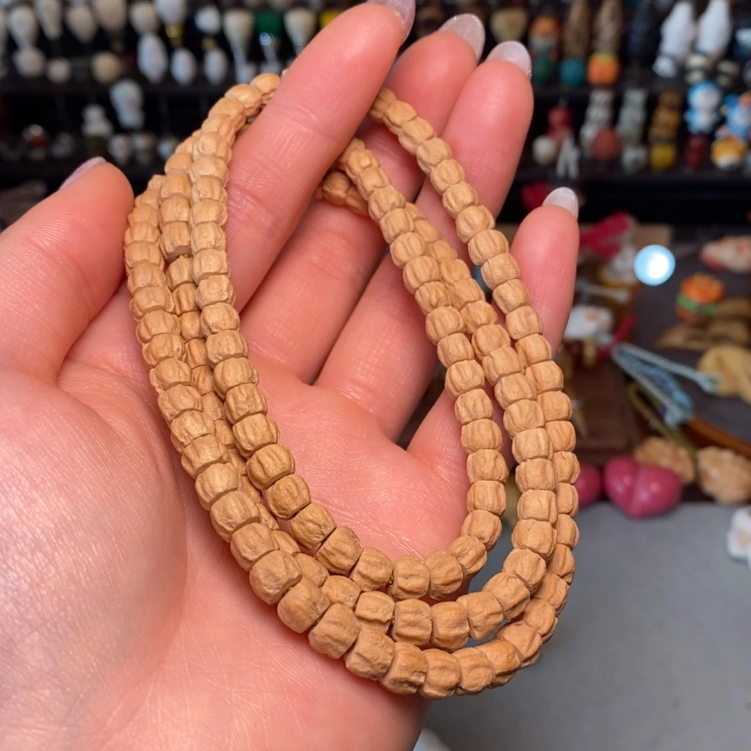 菩提籽类6➕方块龙脊