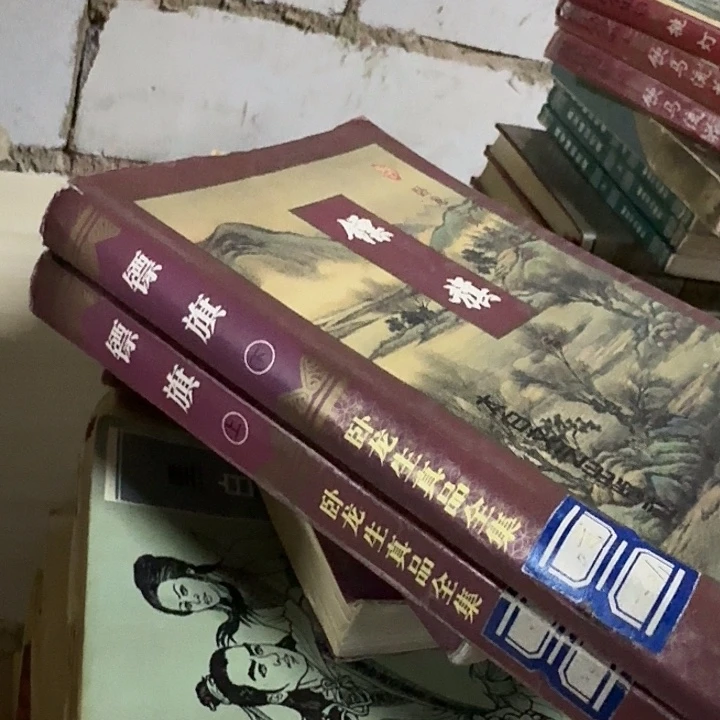 镖旗二手馆藏书籍