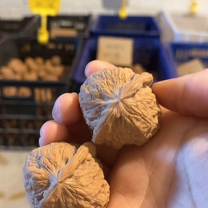 核桃手串/手链南瓜墩