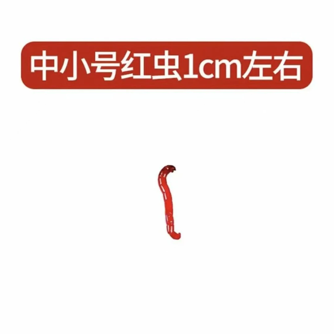 鲜活红虫活饵特大号蚯蚓批发挂钩鱼饵公虫鲫鱼饵料野钓喂鱼钓鱼