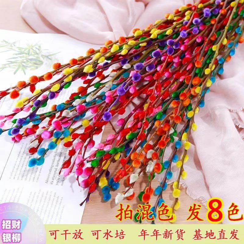 60厘米八色招财银柳干花真花彩色鲜枝水养耐寒年宵花卉室内装饰花