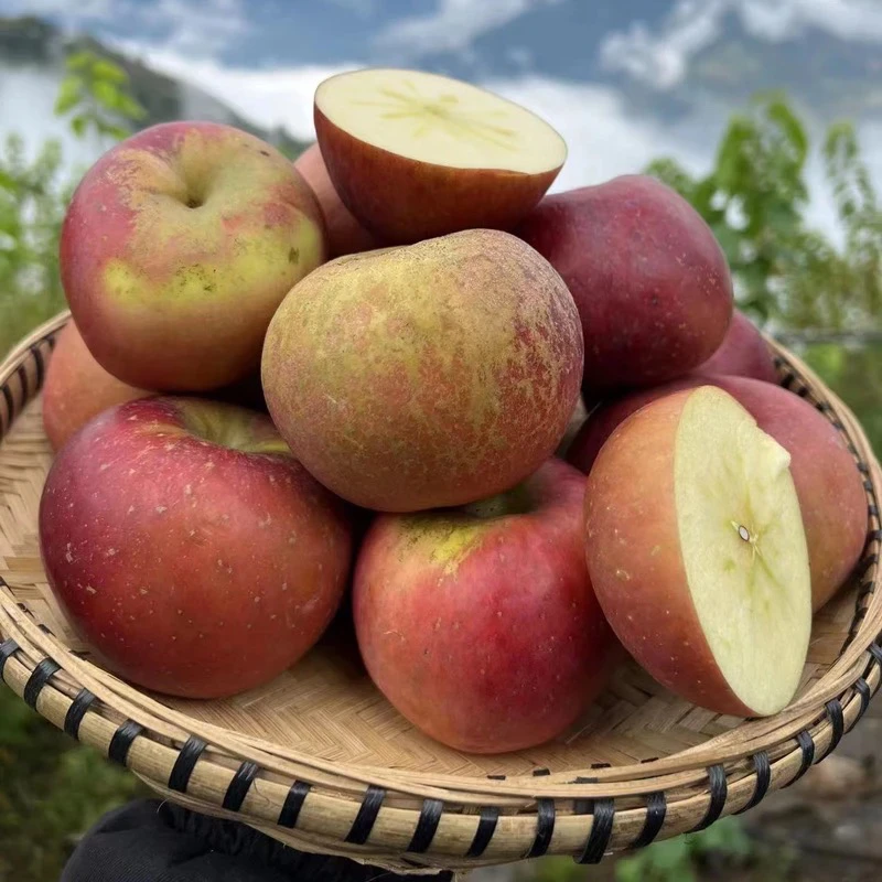 【三妹专属】大凉山盐源丑苹果 4.5斤/7.5斤（顺丰快递）