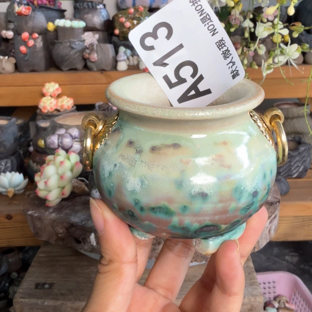 重庆小燕子欢迎大家513
