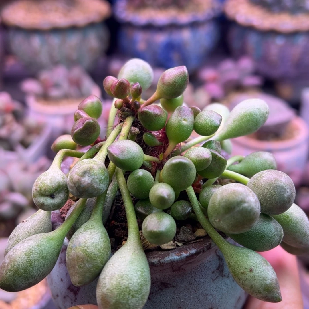 乐***山我们的生活状态很