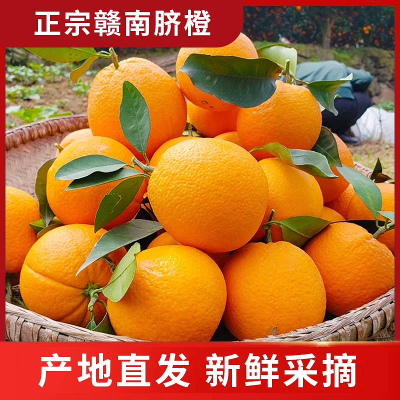【京东快递】正宗赣南脐橙信丰脐橙当季鲜果现摘赣州产地直发