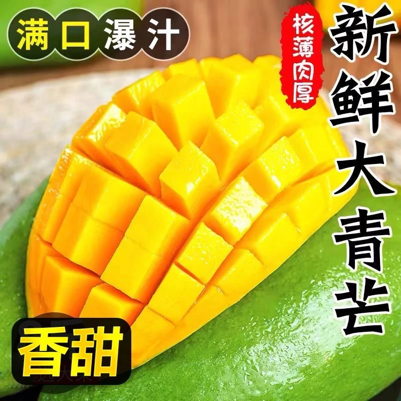【爆甜芒果】自家种植 云南大青芒皮薄肉厚 新鲜采摘应季 芒果