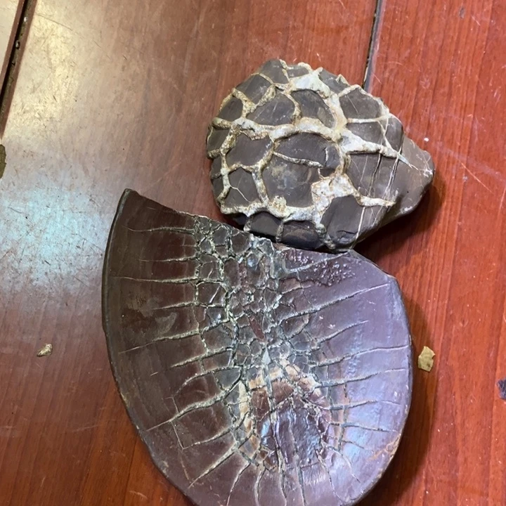 核桃手串/手链江**画龟纹石双面满文原石