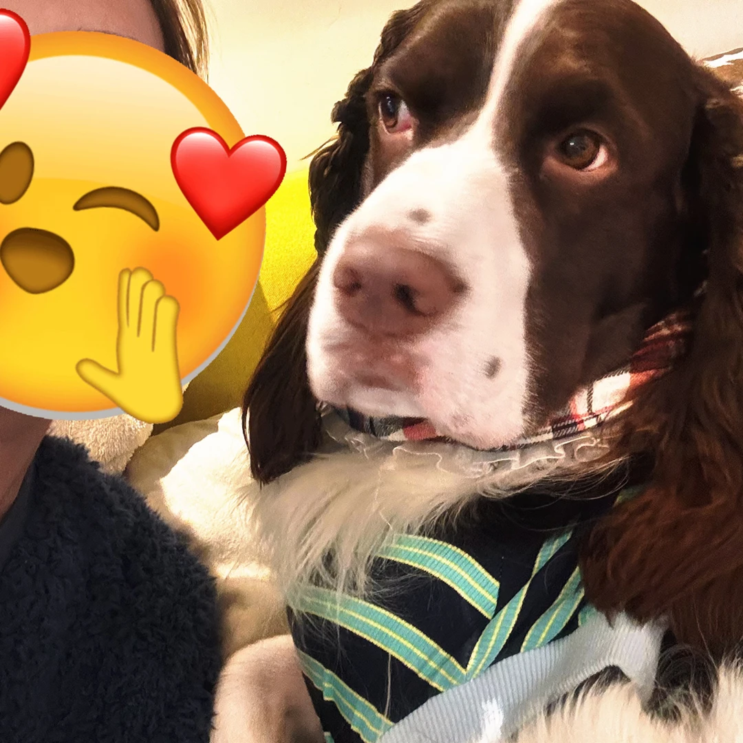 秋冬螺纹背心- 蓝绿条纹