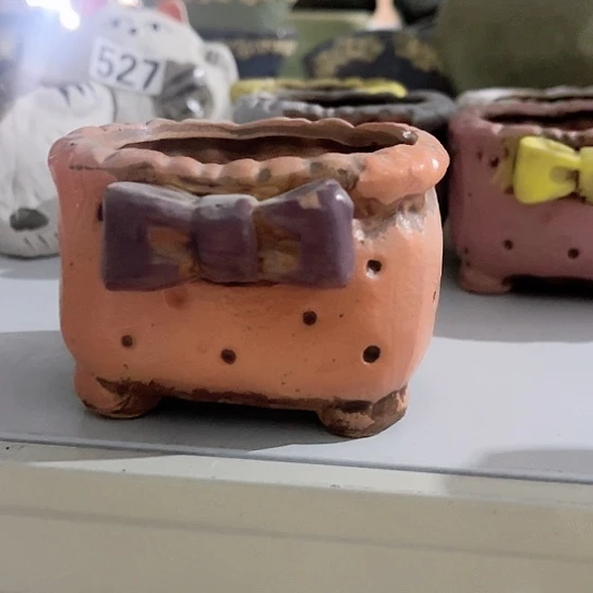 多肉植物花盆花盆