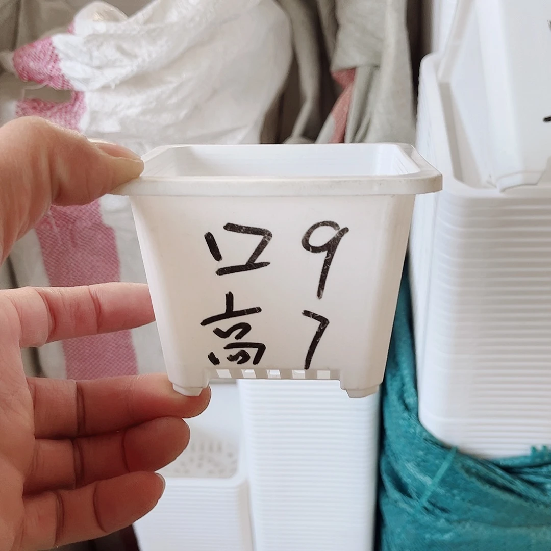 塑料福利款9方白色盆20个无托