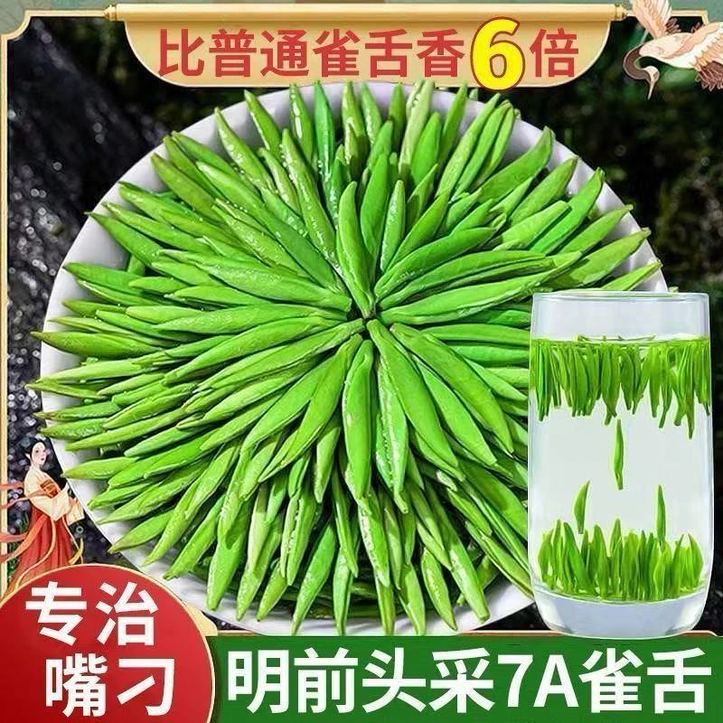 【雀舌2025新茶】贵州毛尖湄潭绿茶特级嫩芽浓香型茶叶高山雀舌全芽