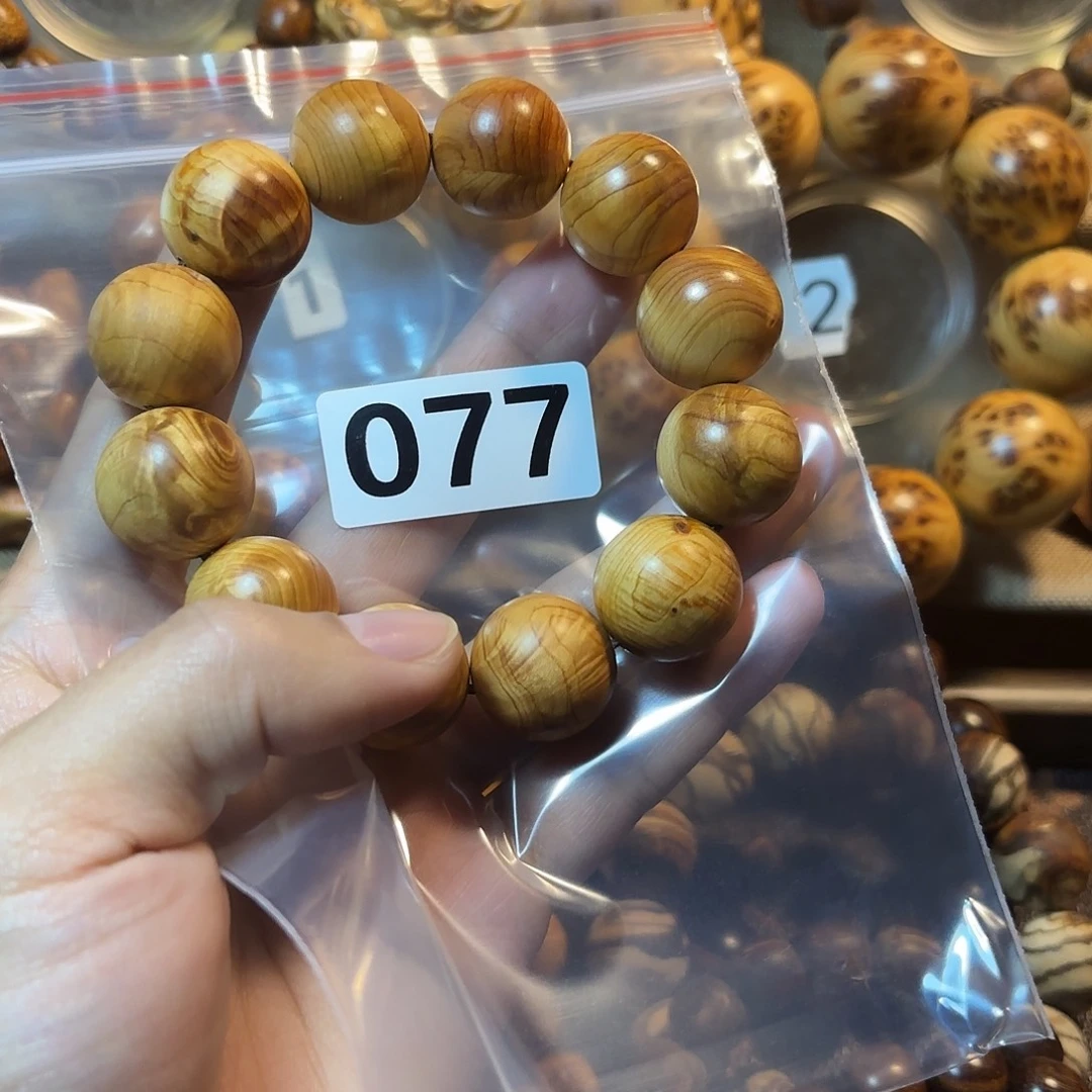 柏木（崖柏）太行崖柏2.0闪电—077