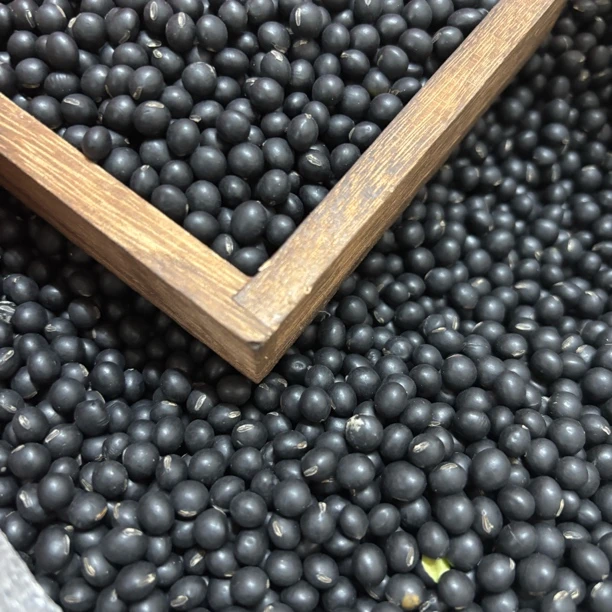 【凤姐甄选】绿芯黑豆黑皮绿心大黑豆煮粥打豆浆专用生黑大豆黑乌豆