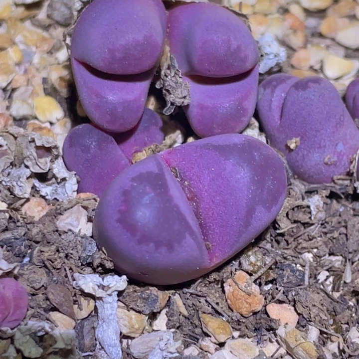 780000。00 99988888888