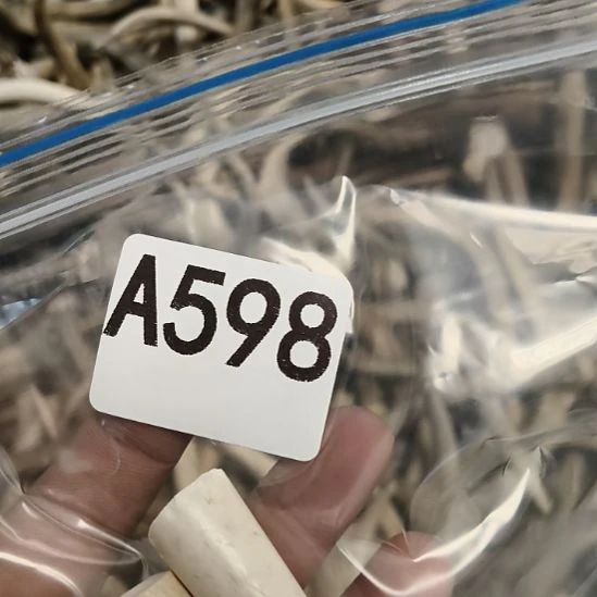 美***象鹿角鹿角鹿角鹿角鹿