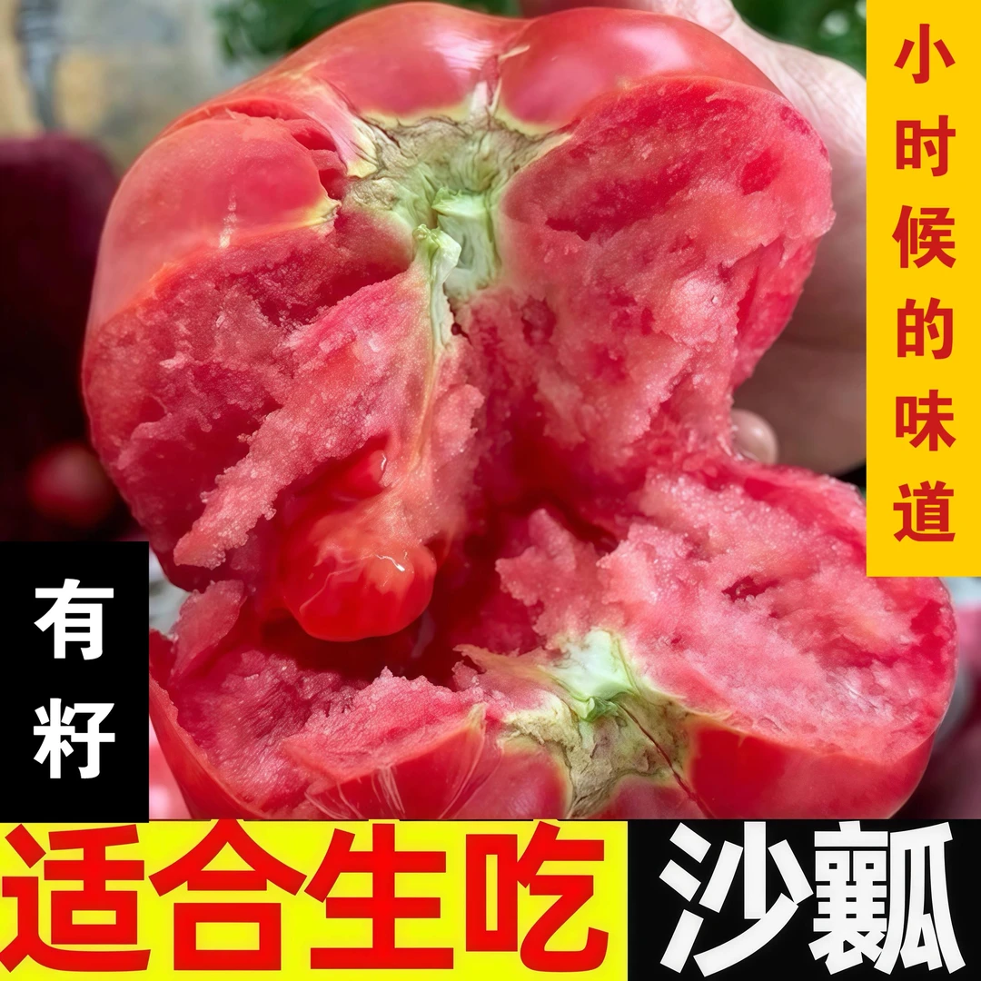【树上熟】攀枝花露天西红柿沙瓤多汁酸甜可口自然成熟3斤/5斤