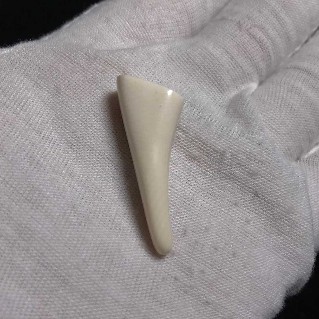 J121723 只做天然猛犸牙 素牙尖 约33*13*10mm 约2.7克