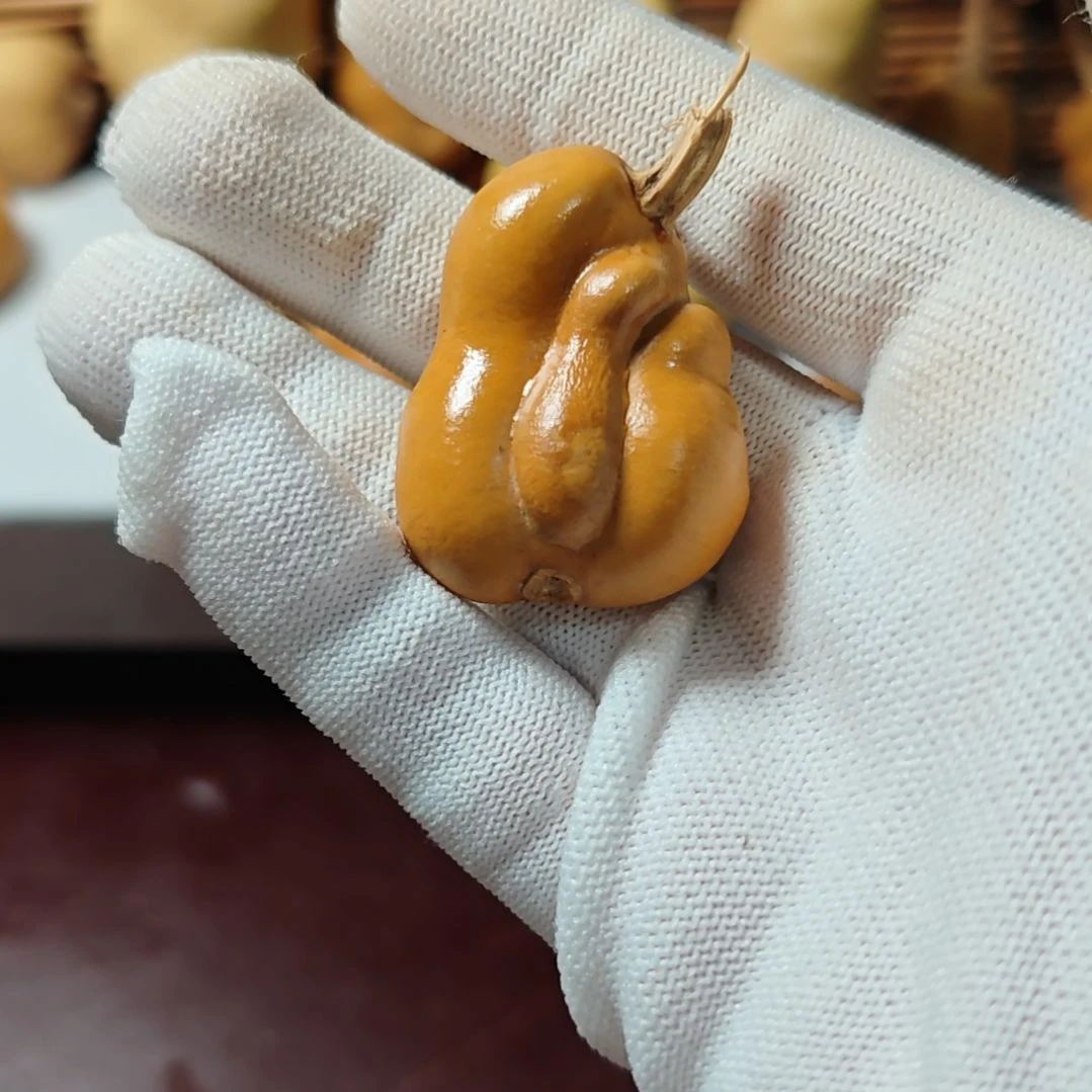 热***圆精品土豆葫芦一物一拍