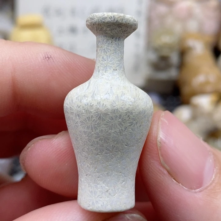 颈饰未镶嵌硅化珊瑚（珊瑚玉）有瑕