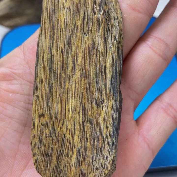 首***指沉香沉香碎屑糖结手把件20g