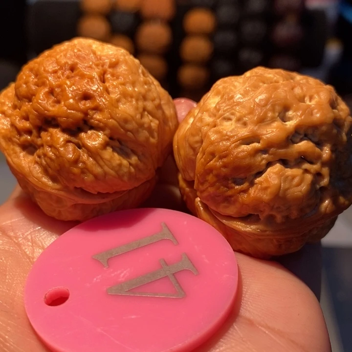 25号链接七彩八宝蟾38尺寸