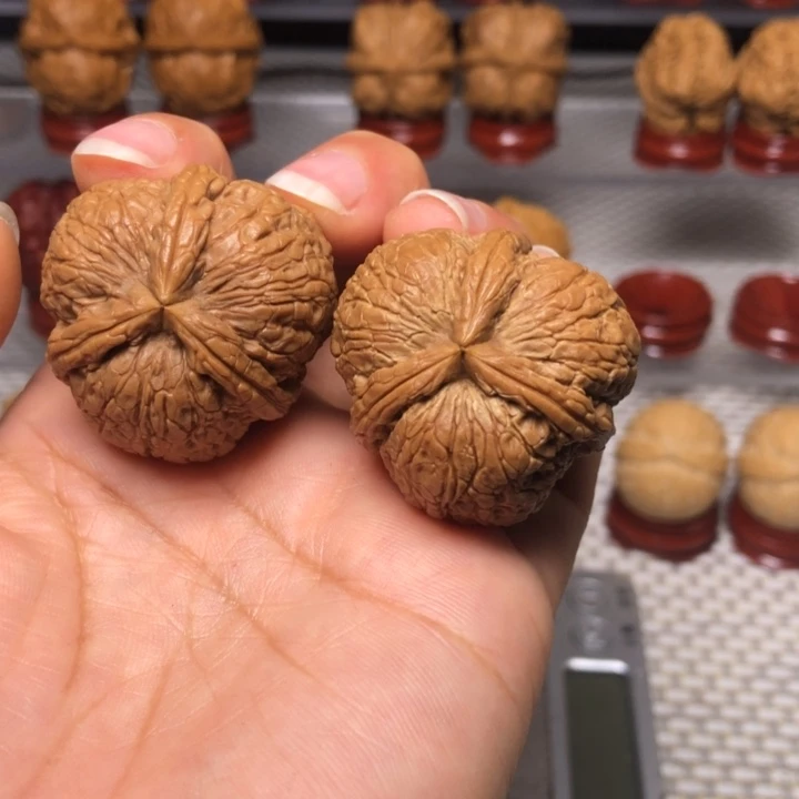 文玩核桃把件6金蟒三炸