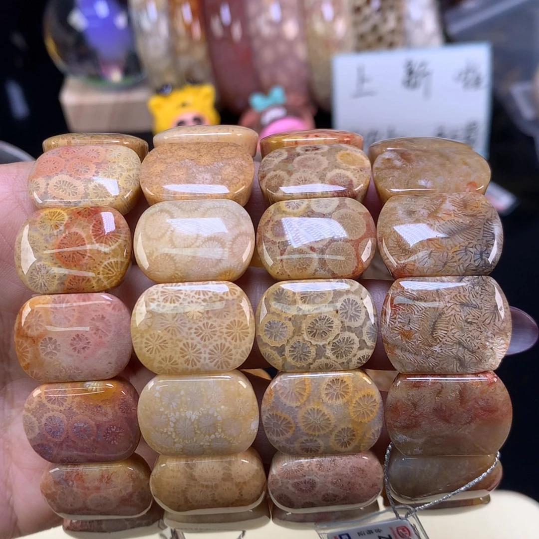 【闪购商品】颈饰未镶嵌硅化珊瑚（珊瑚玉）88漏68一条可挑（56号）