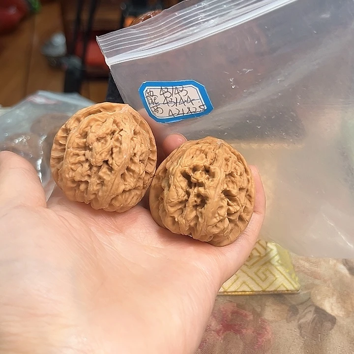 把件文玩核桃非嫁接大粗筋有修