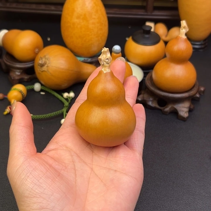 小*葫芦葫芦葫芦葫芦葫芦