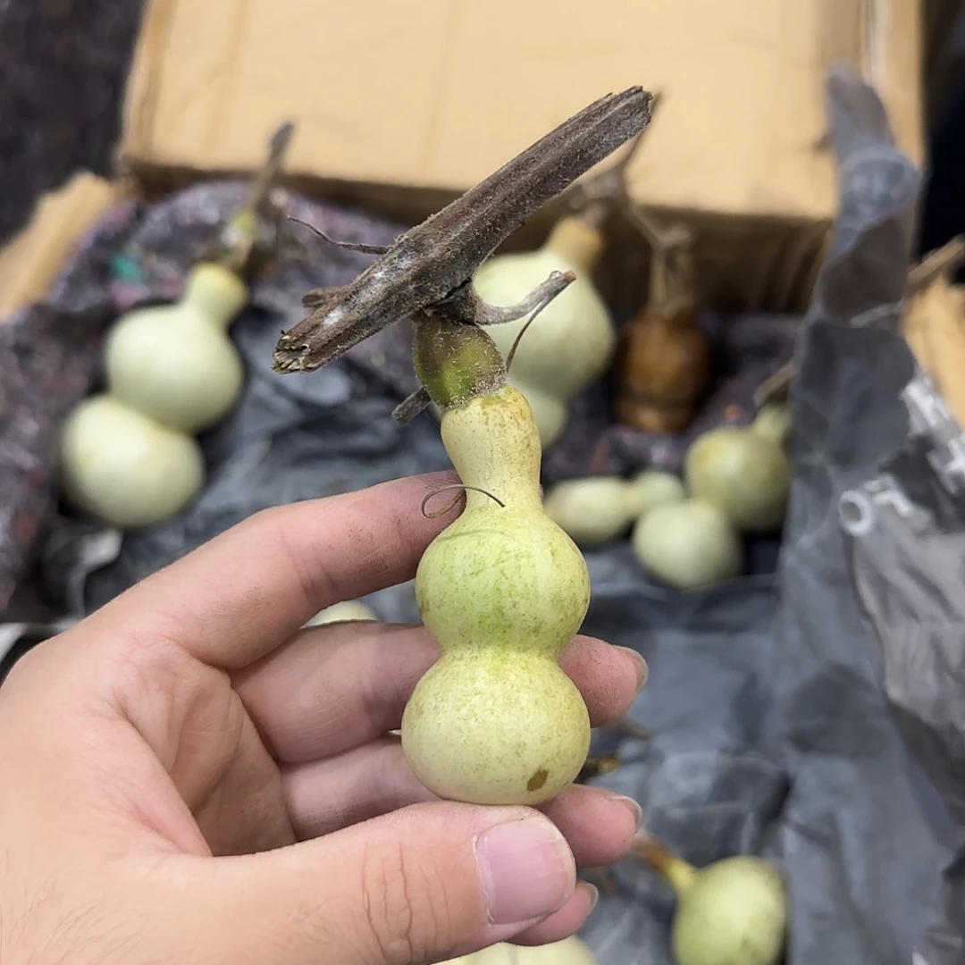 余***思葫芦dndndndndndndndn