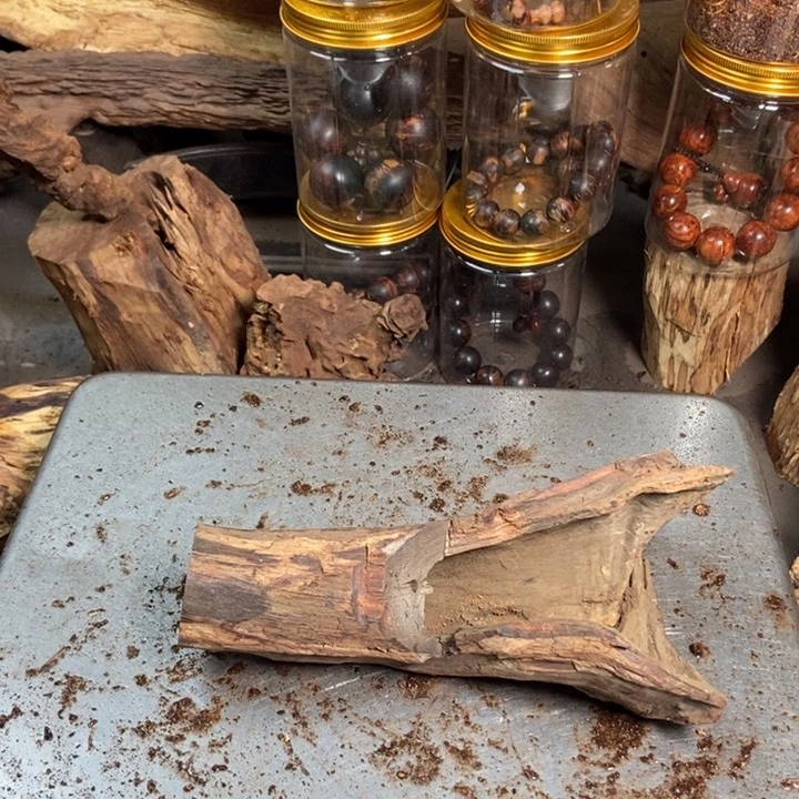 黄花梨/降香黄檀果*