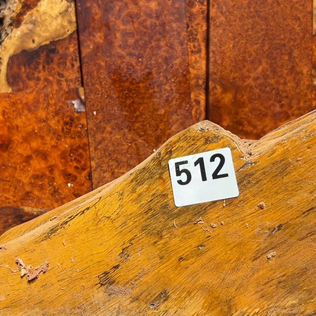 大果紫檀（缅甸花梨）