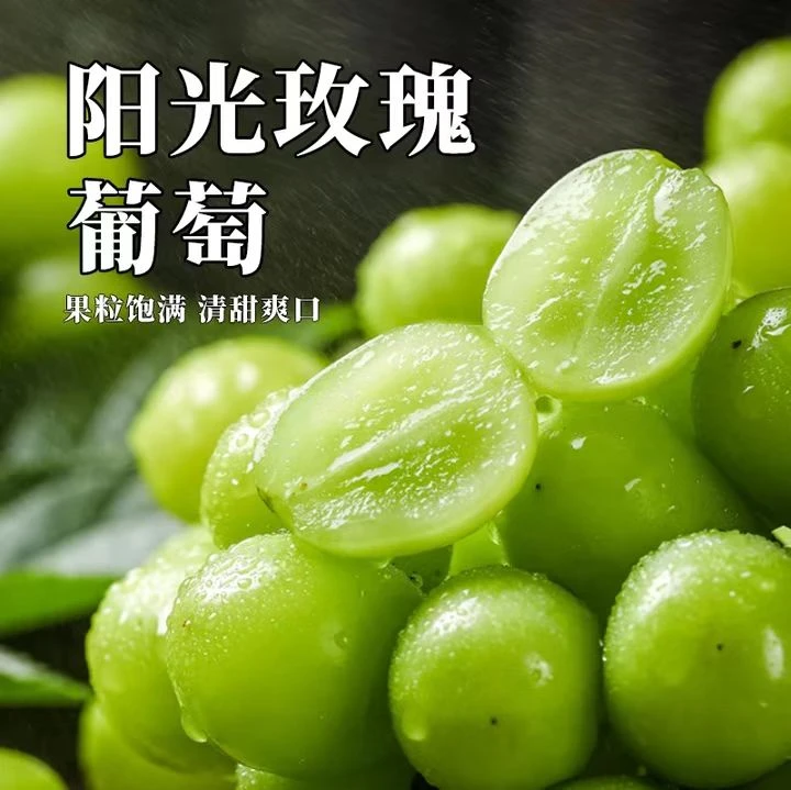 【基地直发】阳光玫瑰葡萄3-5斤 新鲜水果现摘现发顺丰包邮