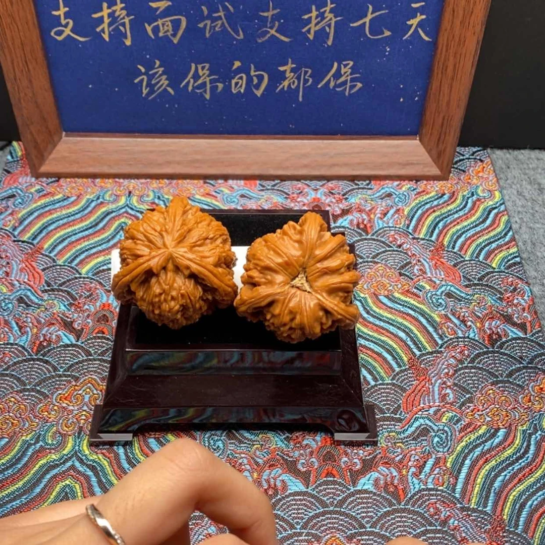 【闪购商品】名*白狮