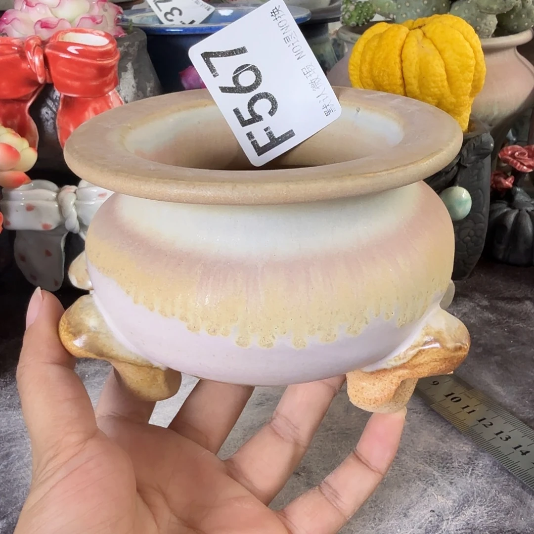 重庆小燕子欢迎大家567