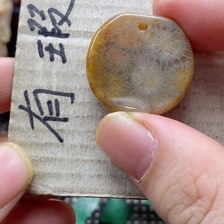 硅化珊瑚（珊瑚玉）颈饰未镶嵌石****